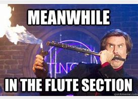 Image result for Flute Memes