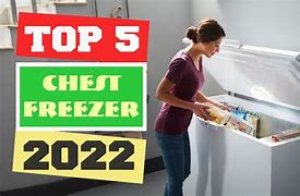 Image result for 25 Cu FT Chest Freezer