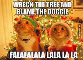 Image result for Cute Animal Friday Memes