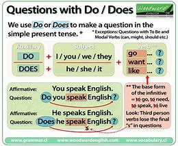 Image result for Did Grammar