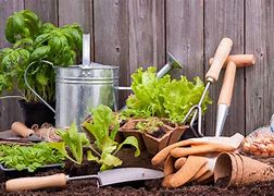 Image result for Personal Gardening