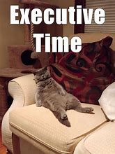 Image result for Executive Cat Meme
