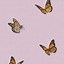 Image result for Aesthetic Butterflies