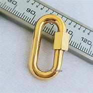 Image result for Locking Carabiner