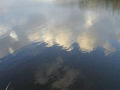 Image result for Water Mirror Effect