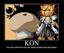 Image result for Kon Bleach Memes