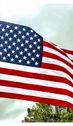 Image result for American Flag with 50 Stars
