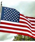 Image result for American Flag 50 Stars