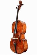 Image result for 3 String Cello