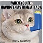 Image result for Heavy Breathing Cat Meme Variation