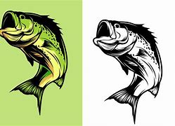 Image result for Bass Fish Drawing Clip Art