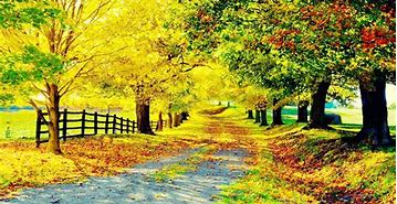 Image result for Country Wallpapers Fpr Phone