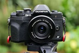 Image result for Best Inexpensive Camera for Photography
