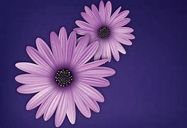 Image result for Purple Flower Art Wallpaper