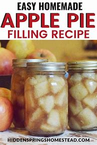 Image result for Homemade Apples Slices