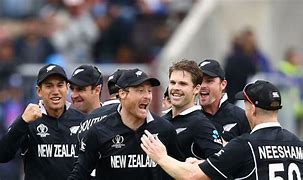 Image result for Cricket World Cup NZ
