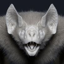 Image result for Vampire Bat DDT