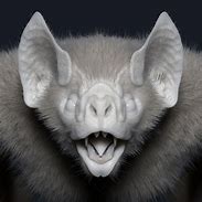Image result for Halloween Vampire Bat