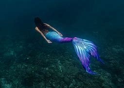 Image result for Do Mermaids Exist