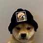 Image result for Roblox Dog PFP