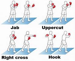 Image result for Basic Boxing Moves Punches