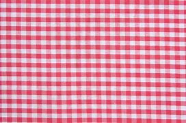 Image result for Checkered Tablecloth Texture