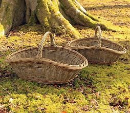 Image result for Garden Carrying Basket