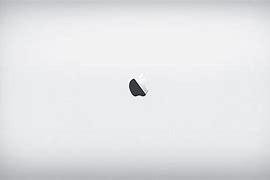 Image result for Apple Silver vs White