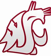 Image result for Wazzu