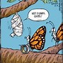 Image result for Funny Butterfly Jokes