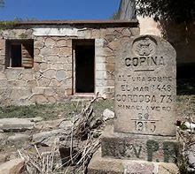 Image result for copina