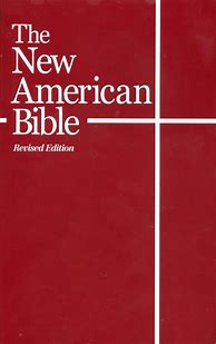Image result for New American Bible Catholic