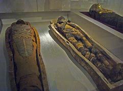 Image result for The Mummies St. Kitts