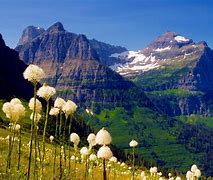 Image result for Bing Visual Search Nature Wallpaper