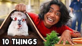 Image result for 10 Things Not to Do