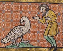 Image result for Medieval Europe Animals