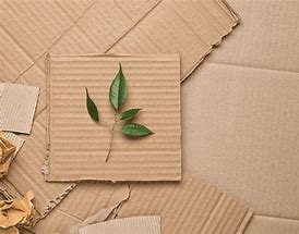 Image result for Sustainable Packaging Materials