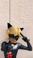 Image result for Funny Cat Noir Wallpapers