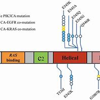 Image result for PIK3CA Mutation