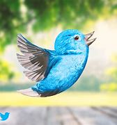 Image result for Twitter Real Bird