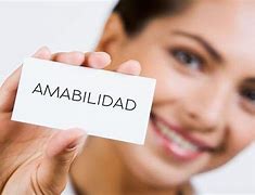 Image result for amab8lidad