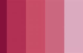Image result for Burgundy Color Palette