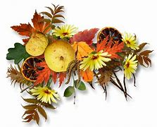 Image result for Autumn Apples