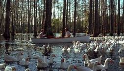 Image result for The Notebook Lake House