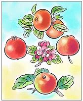 Image result for Coloring Apple iPhone