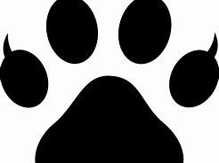 Image result for Cat Claw Logo