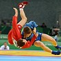 Image result for Russian Sambo
