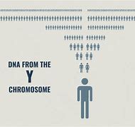 Image result for Gene vs DNA