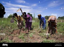 Image result for People Working in Fields