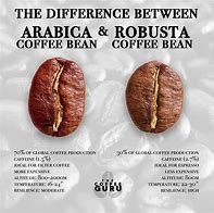 Image result for Arabica vs Robusta Coffee Beans